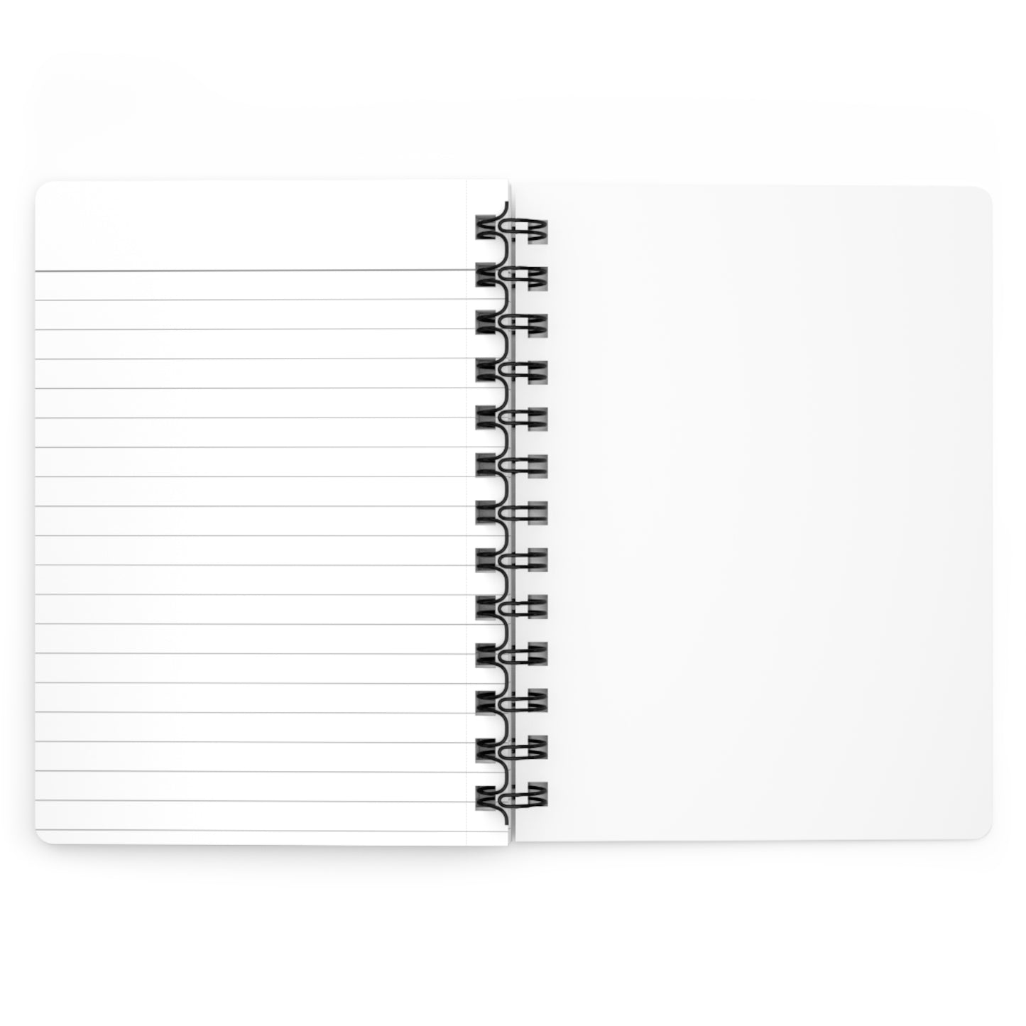 Dirty Little Secrets Spiral Bound Journal